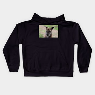 OOH! Kids Hoodie